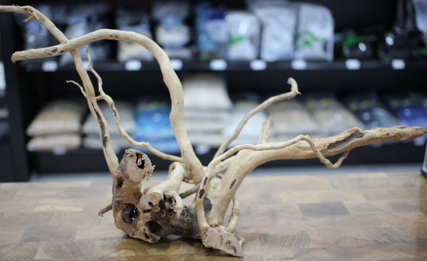 Wood Root (Medium 12" - 18")