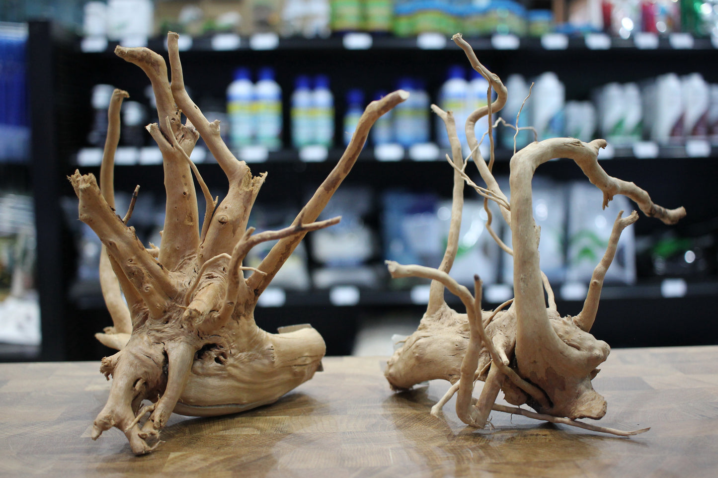 Wood Root (Small 8"- 12")