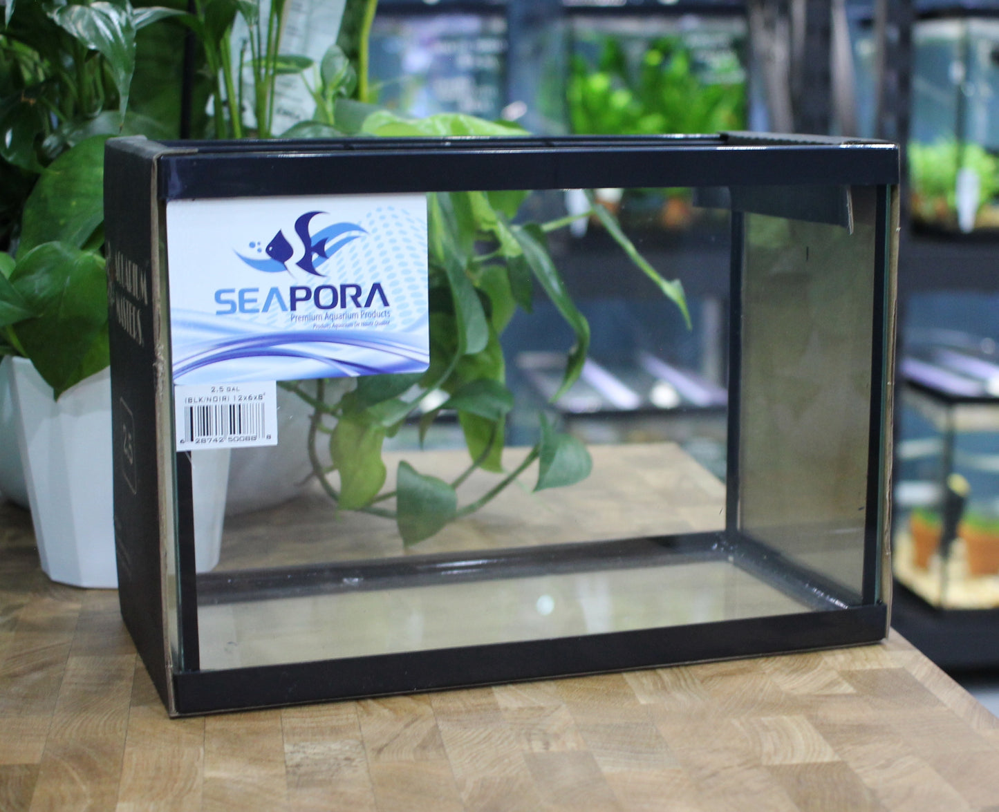 Seapora 2.5 Gallon Aquarium