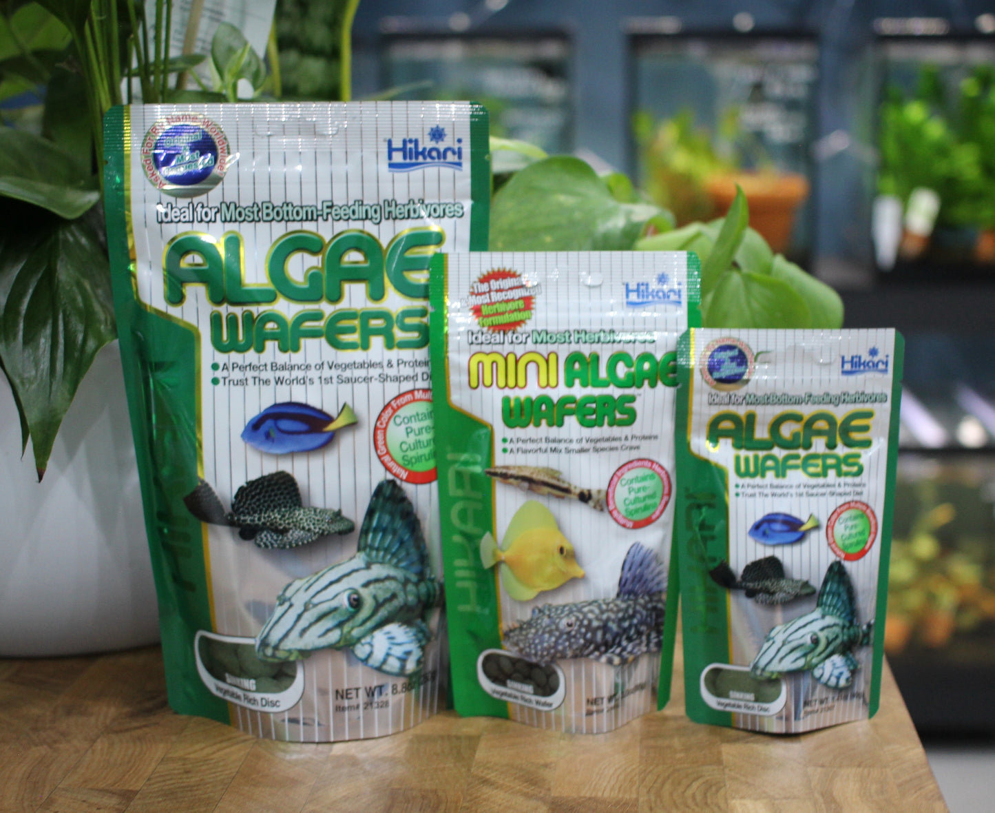 Algae Wafers 40g - Hikari