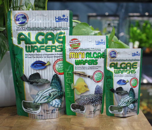 Mini Algae Wafers 85g - Hikari