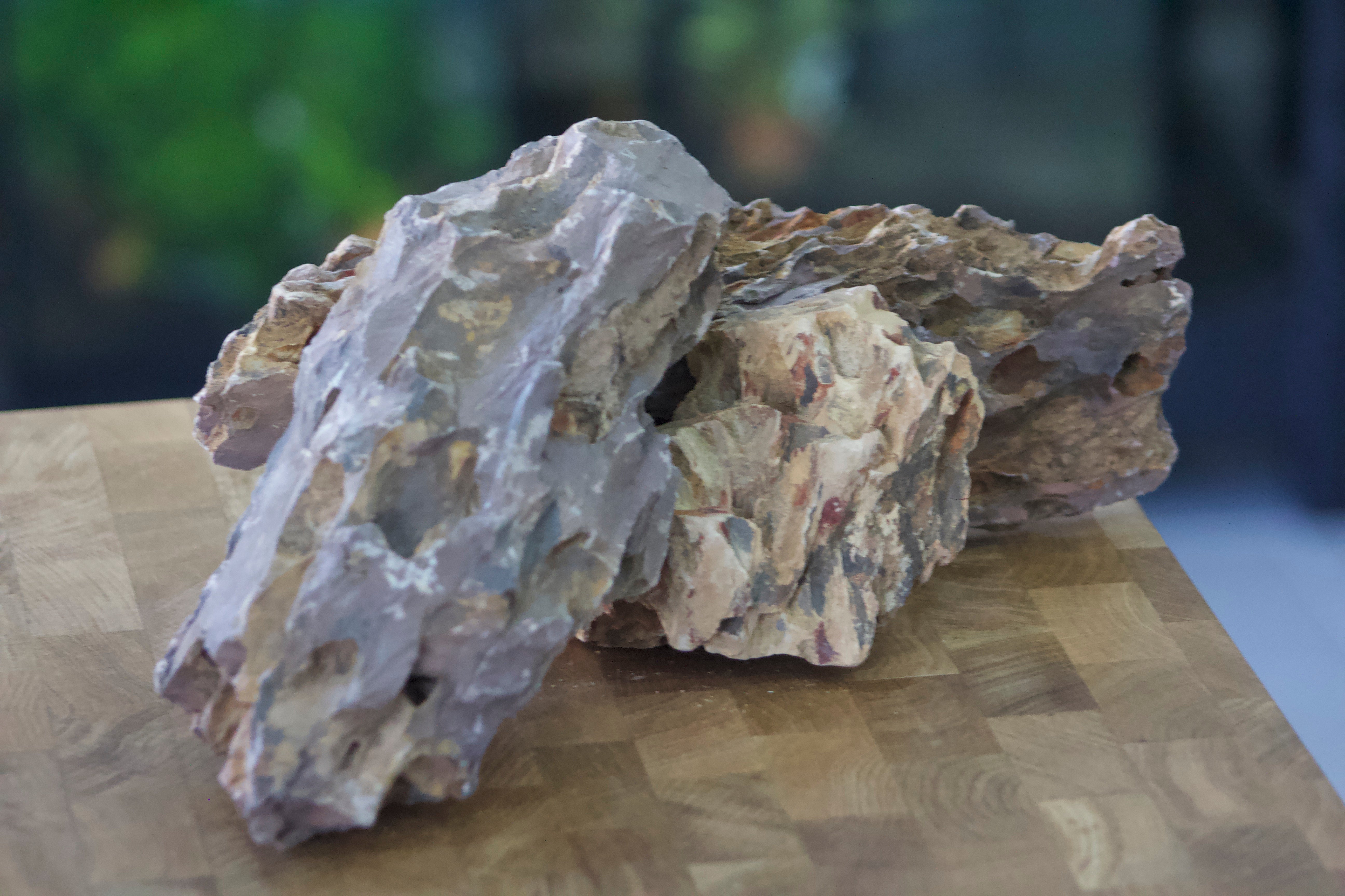 Dragonstone (per pound) – Forge's Fish