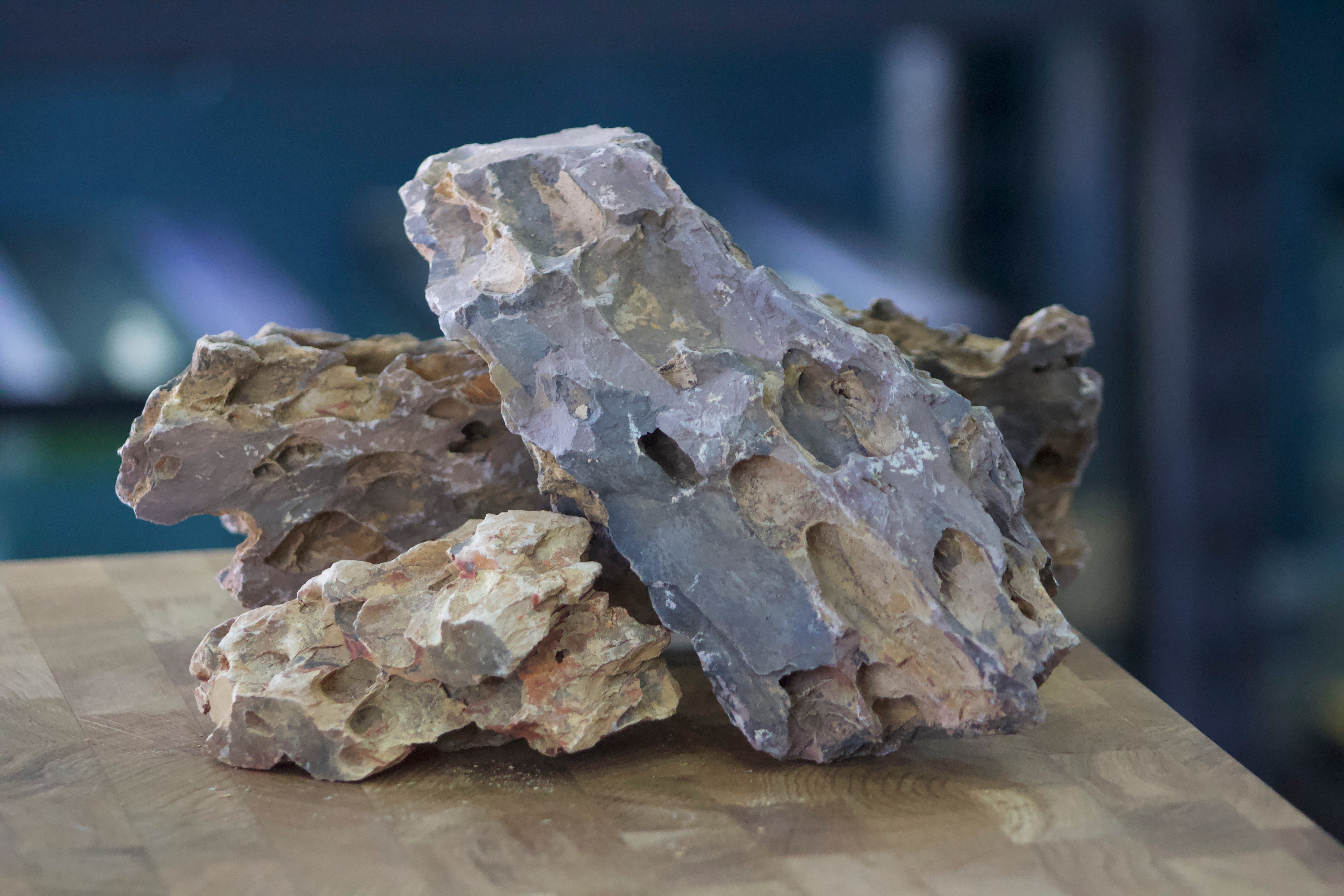 Dragonstone (per pound) – Forge's Fish
