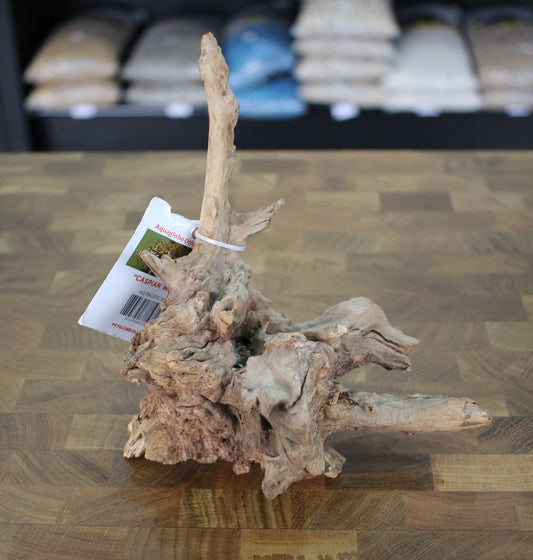 Pacific Wood (Medium)