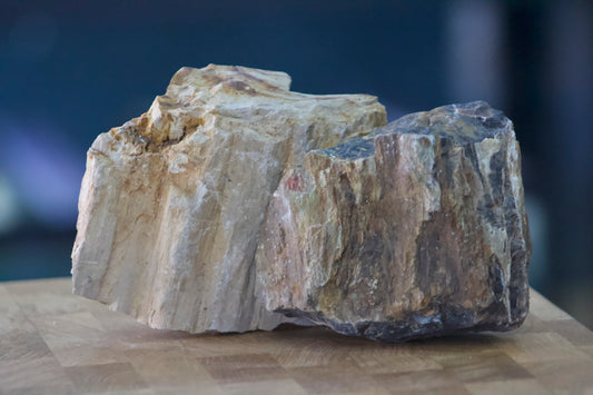 Petrified Wood (per pound)