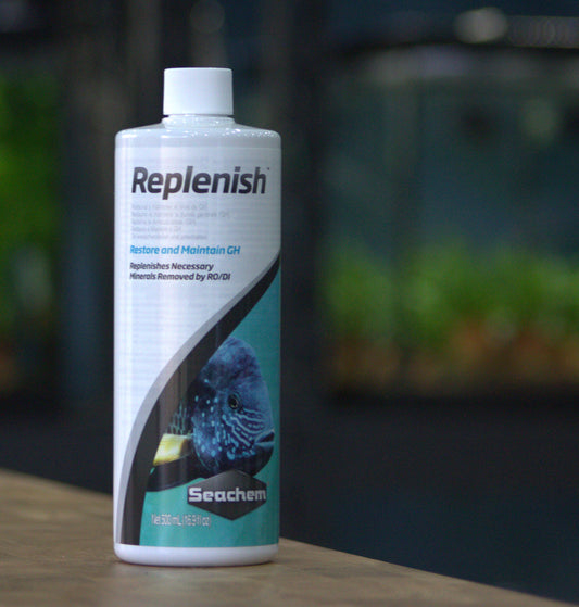 Replenish (500ml)