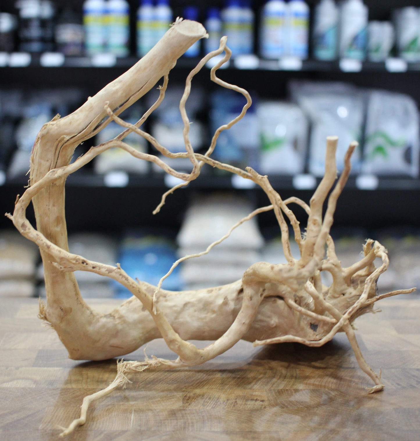 Wood Root (Medium 12" - 18")