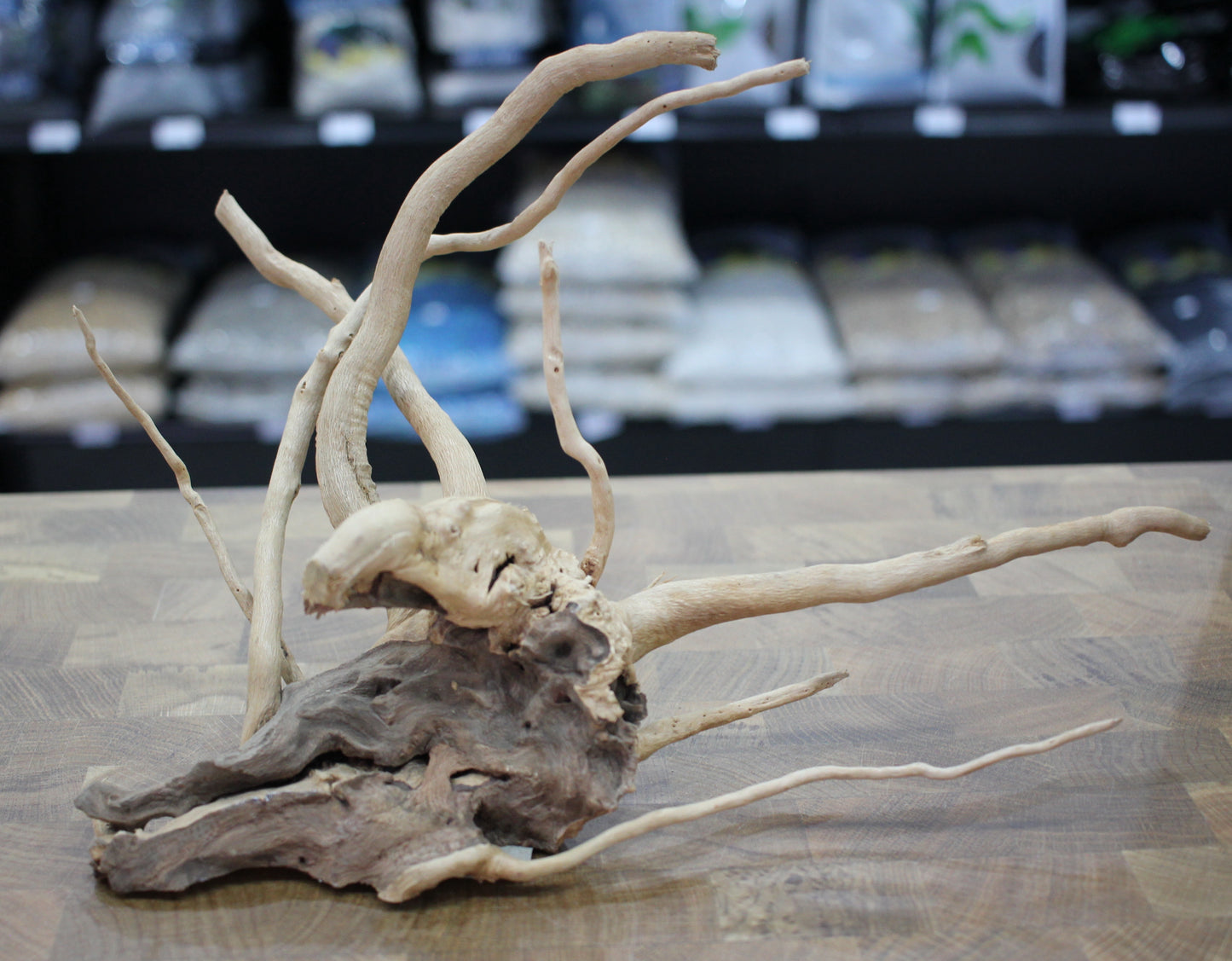 Wood Root (Medium 12" - 18")